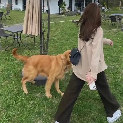 史努比：花生大电影